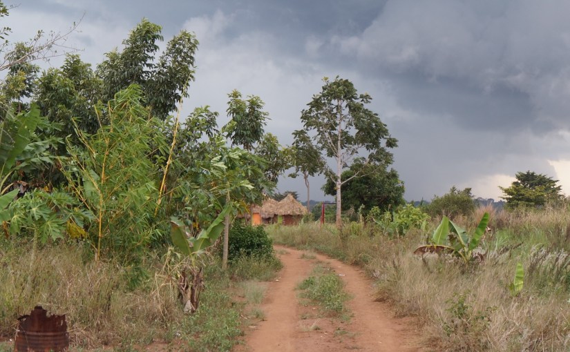 Random Pictures Around Our&nbsp;Home