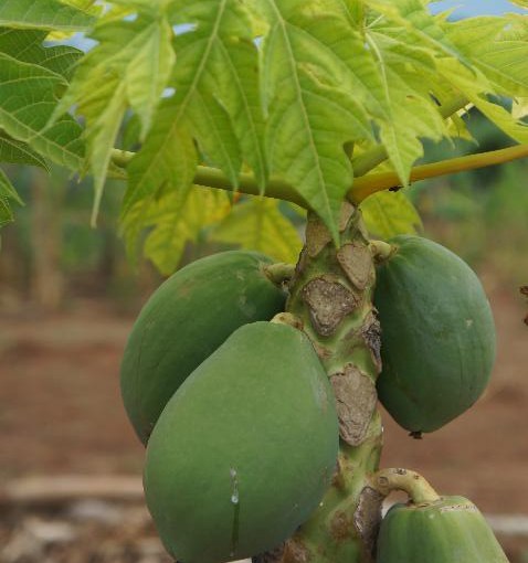 Day In The&nbsp;Life